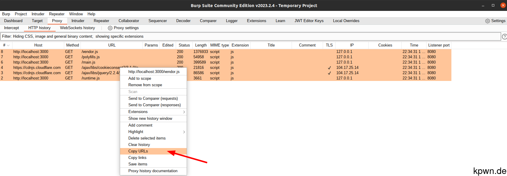 Mark the remaining requests in HTTP history, right-click and choose "Copy URLs" from the context menu.