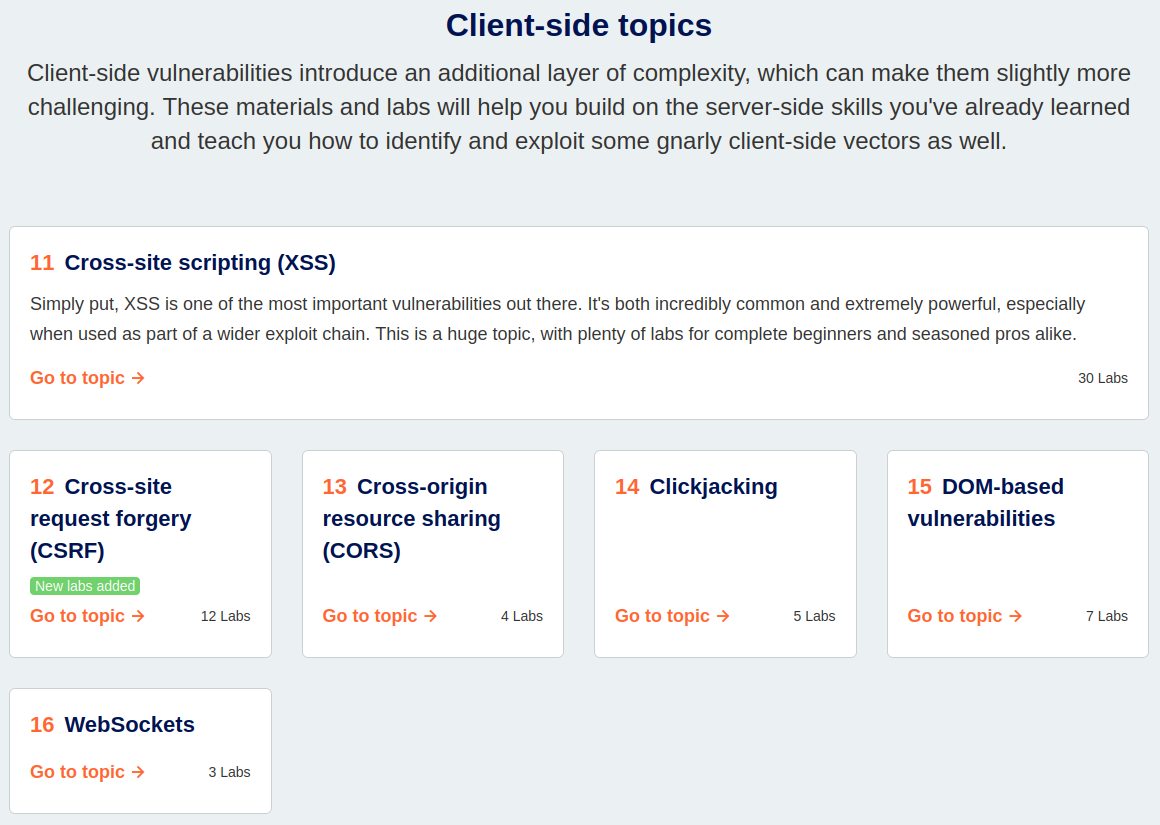 Screenshot of Web Security Academy's Learning Path